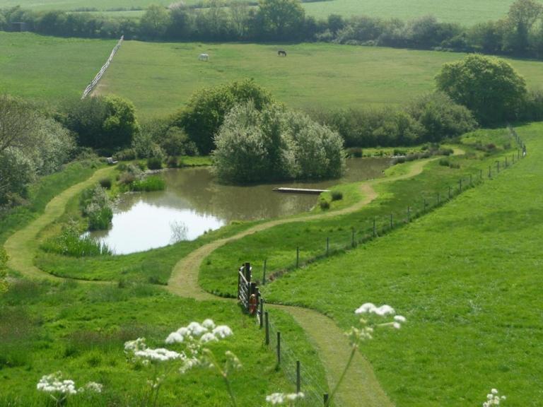 Whiteways Farmhouse Buckland Newton エクステリア 写真