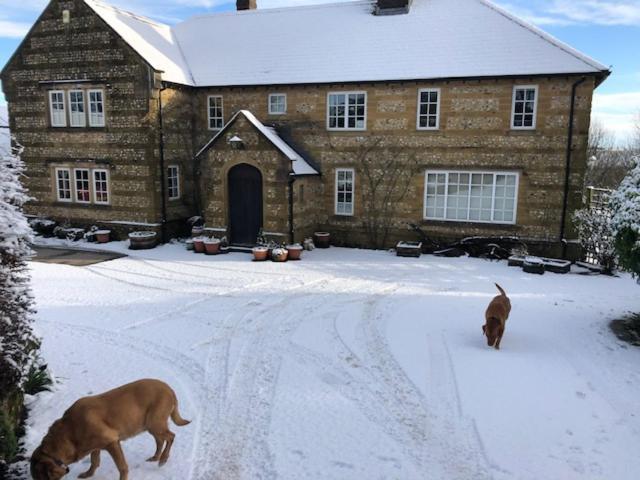 Whiteways Farmhouse Buckland Newton エクステリア 写真